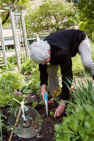 Barbara Heeschen bückt sich tief zur Erde herab, um Blumenpflänzchen zu setzen.