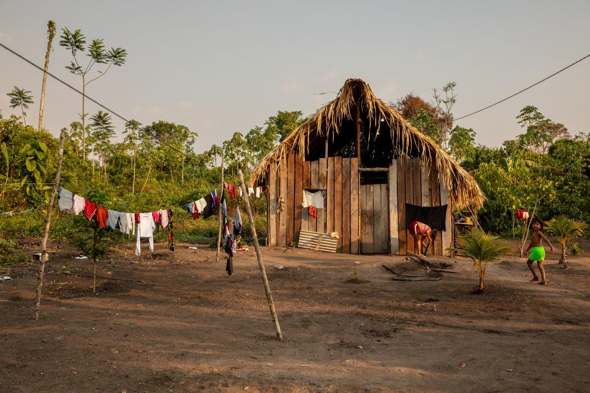 Eine Holzhütte mit Strohdach im Amazonas.