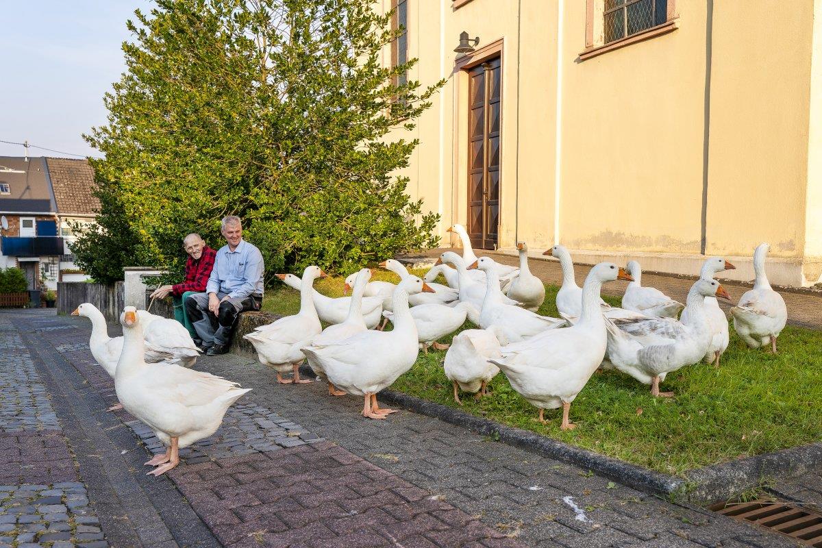 Zwei Bewohner des Pflegebauernhofs sitzen auf einer Bank im Freien umgeben von Gänsen.