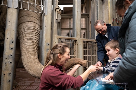Das Highlight des Zoobesuchs: Leonid darf Elefantendame Tefi füttern. 
