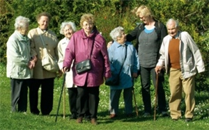 Die Gruppe der Senioren auf einem Spaziergang im Grünen.