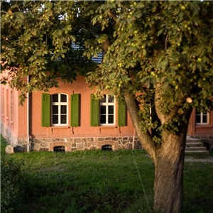 Altes schönes Haus. Im Vordergrund ein Baum.