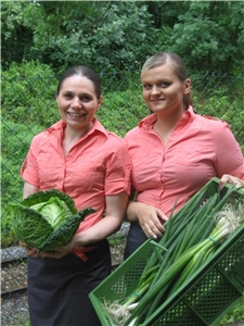 Das Cafe Werthmanns legt Wert auf frische und gesunde Zutaten Das Cafe Werthmanns legt großen Wert auf frische und gesunde Zutaten