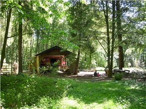 Hütte und Areal des Waldkindergartens