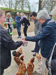Gruppe füttert Hühner im WirGarten