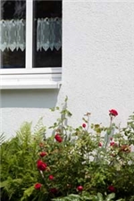 Wohnverbund Haus Agathaberg Rote Rosen an der weißen Wand des Wohngebäudes