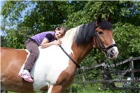 Reittherapeutisches Zentrum Meierhof Reittherapeutisches Zentrum Meierhof