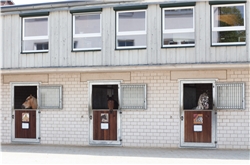 Reittherapeutisches Zentrum Meierhof Reittherapeutisches Zentrum Meierhof