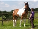 Reittherapeutisches Zentrum Meierhof Reittherapeutisches Zentrum Meierhof