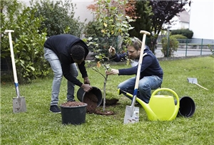 Im Garten wird auf einer Wiese von 2 Jugendlichen ein Baum gepflanzt.