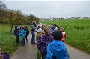 Grünfinder Herbstferien 2019 Gruppe Kinder auf einer Wiese
