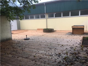 Schulgarten2 Schulgarten2