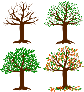 Baum Jahreszeiten
