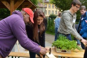 Garten der Generationen Lahr1 Garten der Generationen Lahr1