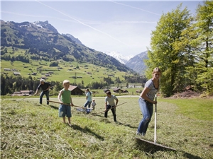 Vier Erwachsene und zwei Kinder bei der Heuernte auf einer großen Wiese. Im Hintergrund die schweizer Berge. 