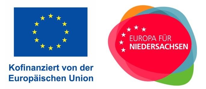 Logo EU EFS