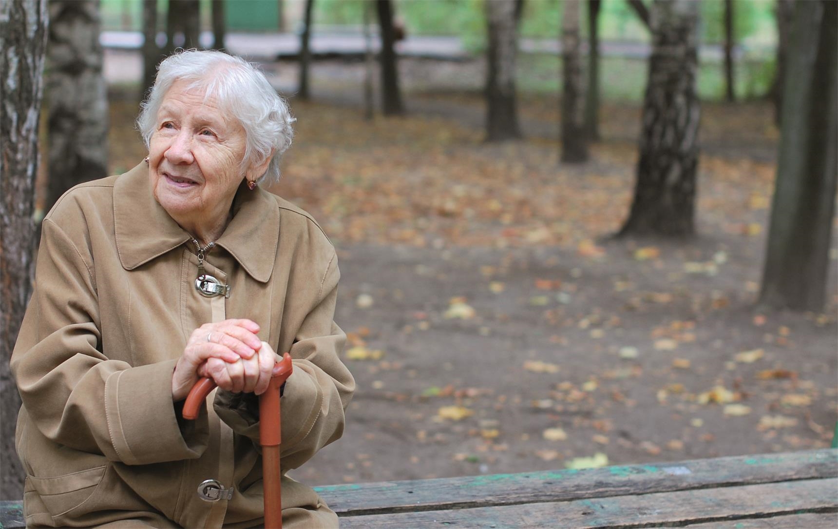 Ältere Dame die auf einer Bank im Park sitzt (© „Vladimir Voronin" / Fotolia.com)