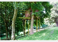 Das bunte Baumhaus haben die Kinder und Jugendlichen des Heilpädagogischen Kinderdorfs Biesfeld mit einem Erlebnispädagogen gebaut. 
