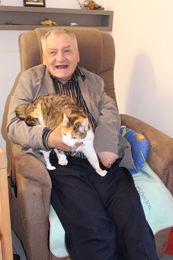 Ein Bewohner sitzt im Sessel und streichelt die Hauskatze auf seinem Schos. (Wohnpflegeheim)