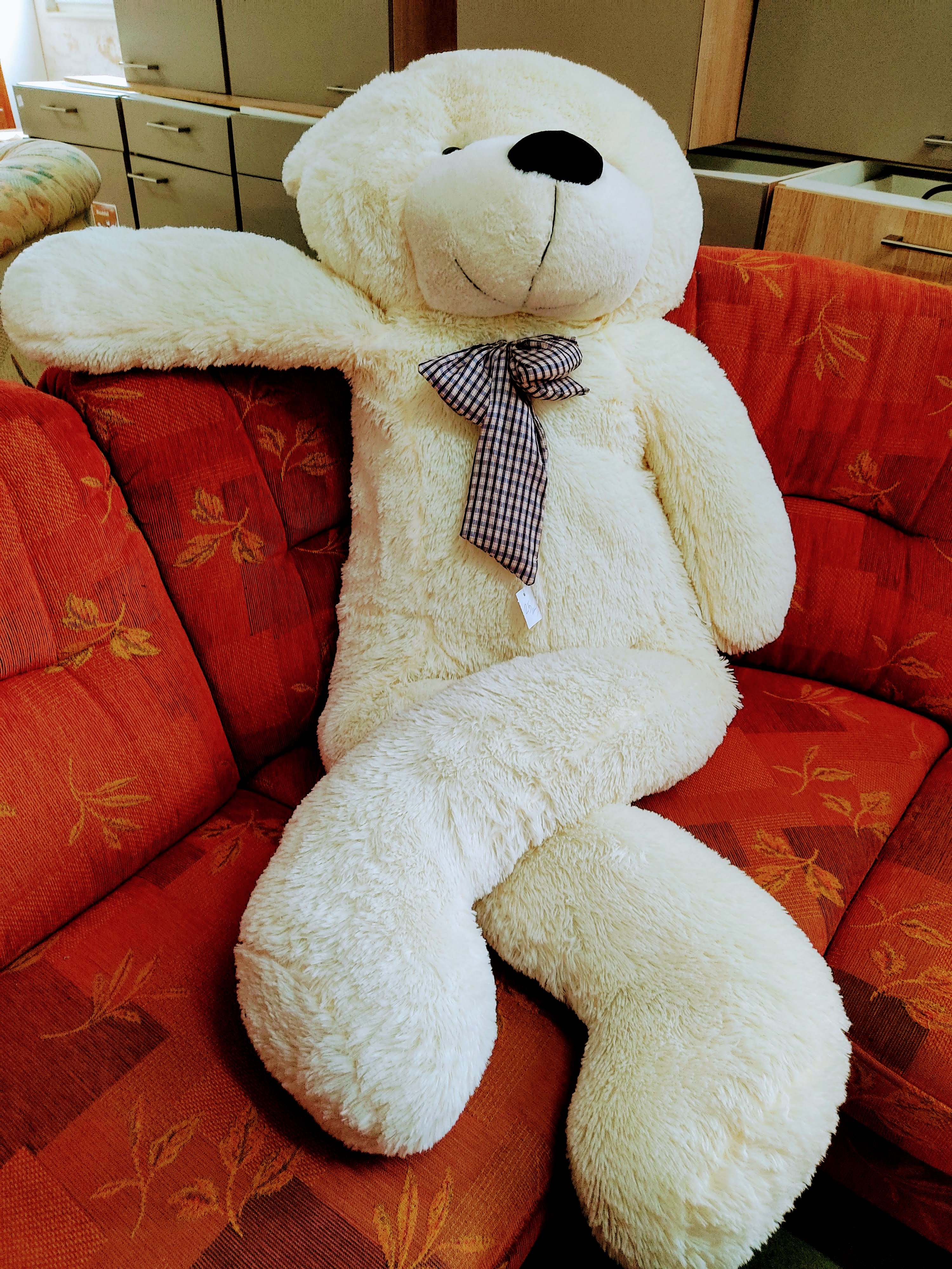 ein großer weißer Bär auf einer roten Couch (© Caritasverband Worms e. V., Nicole Merkl)
