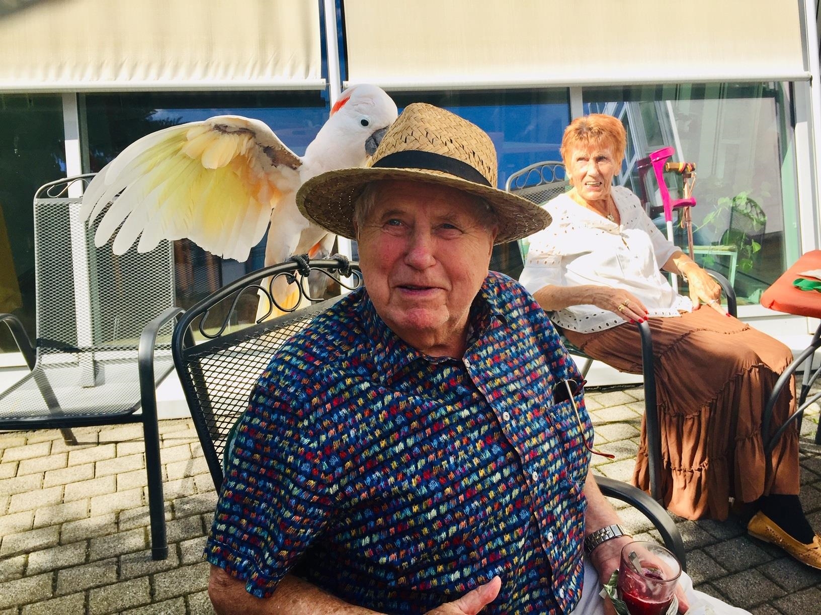 ein Kakadu entblättert seine Federn (© APZ Carolinenstift Erfurt)