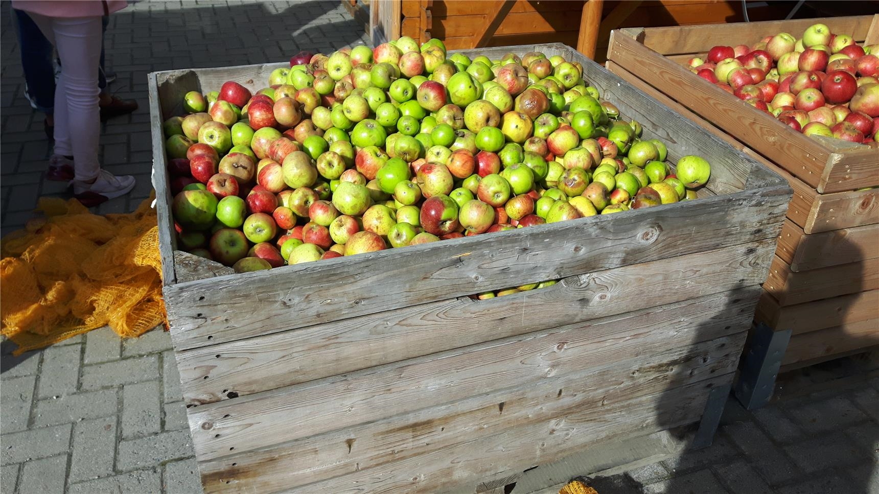 Kiste mit Äpfeln (youngcaritas Soest)