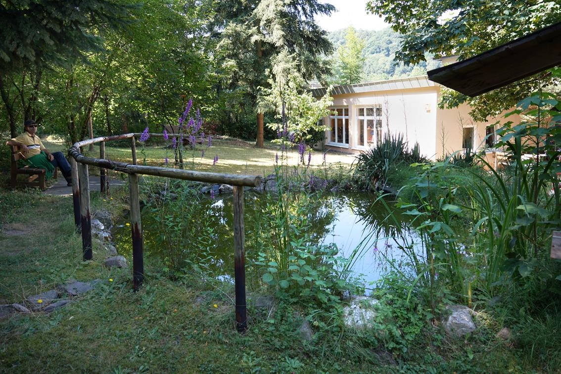 Blick auf einen Garten mit Teich, im Hintergrund Teil eines Gebäudes (Caritasverband Trier e. V.)