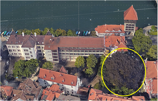 Luftansicht des Areals Haus Zoffingen, hervorgehoben eine Rotbuche als Naturschtzdenkmal (Caritas-Altenhilfe für die Region Konstanz)