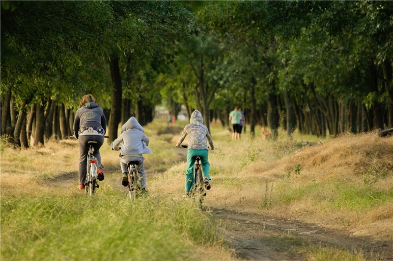 Eine Familie fährt mit einem Rad durch den Wald.