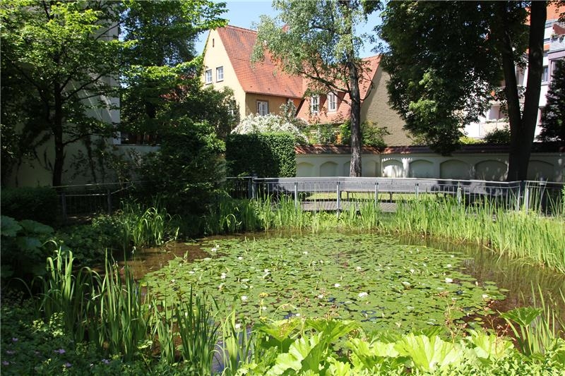 Der wunderschöne Teich im Garten des Caritas-Seniorenzentrums Antoniushaus in Augsburg.  (Bernhard Gattner)