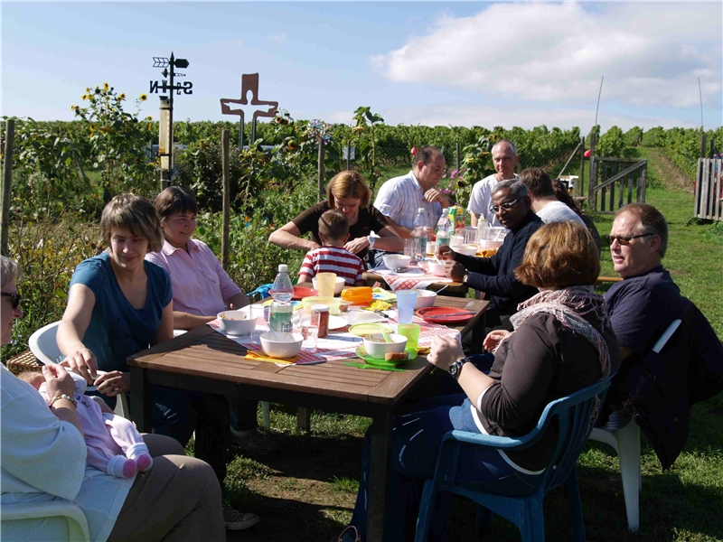 Familien und Gäste essen im Freien bei schönem Sonnenschein. (Christel Piscitelli)