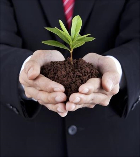 Pflanze Anzug Wachstum CSR