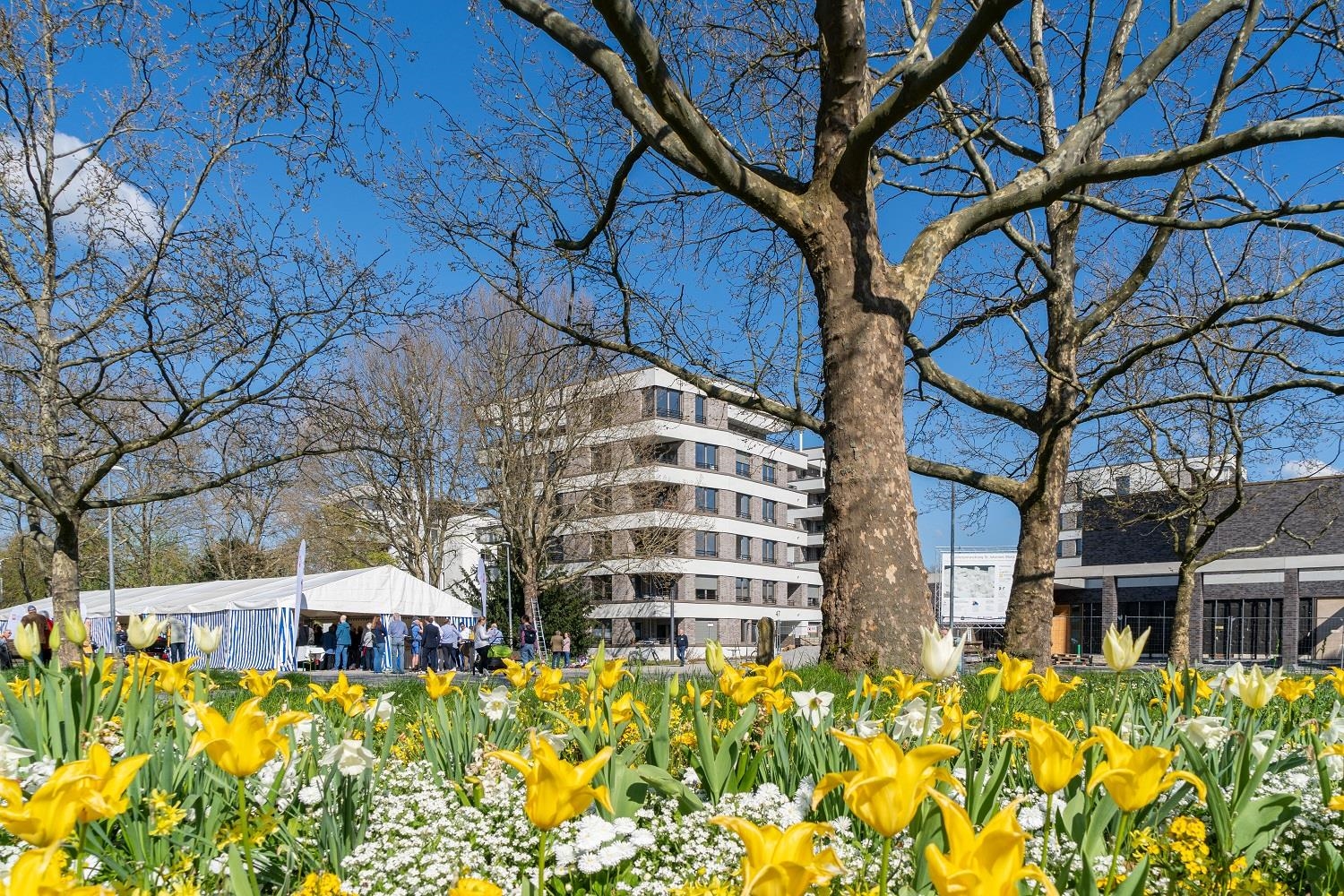 Caritas Seniorenzentrum in Stuttgart Mönchfeld mit Frühlingsblumen im Vordergrund 