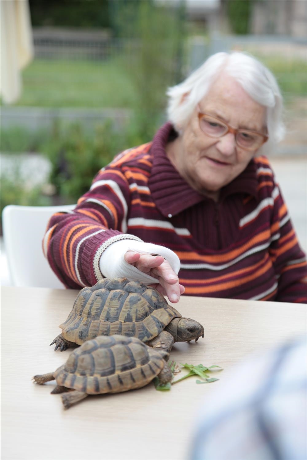 ältere Frau mit Schildkröten (Foto: Andrea Weingartner)