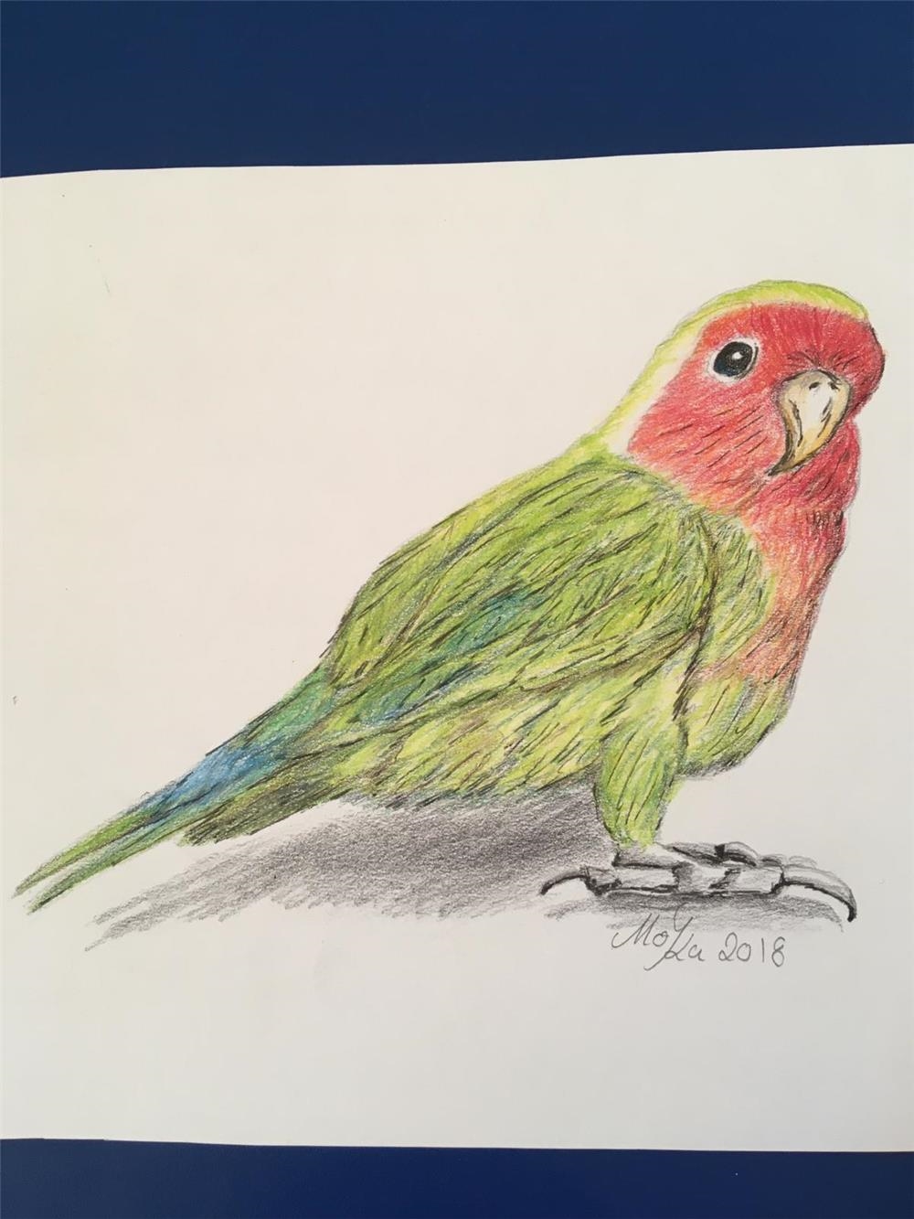Malerei-Papagei 