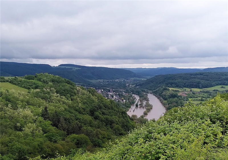 Blick auf die Saar bei Wiltingen; überflutete Ufer