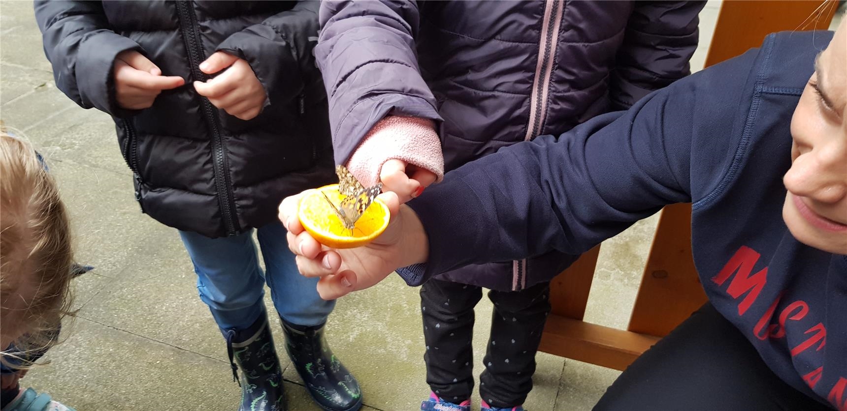 Kinder halten eine Orange in der Hand, auf der ein Schmetterling sitzt. 