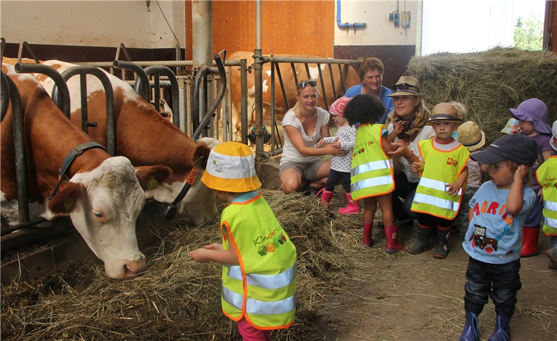 Die Kinder der Caritas-Kinderkrippe Wörth zu Besuch auf dem Bauernhof Lauberger. (Caritas Regensburg)