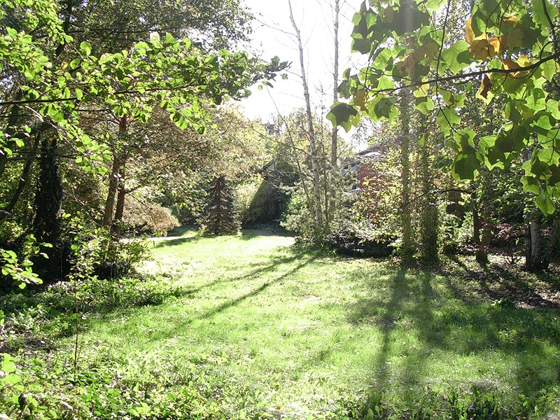 Sonne im weitläufigen Gartenbereich mit altem Baumbestand. 