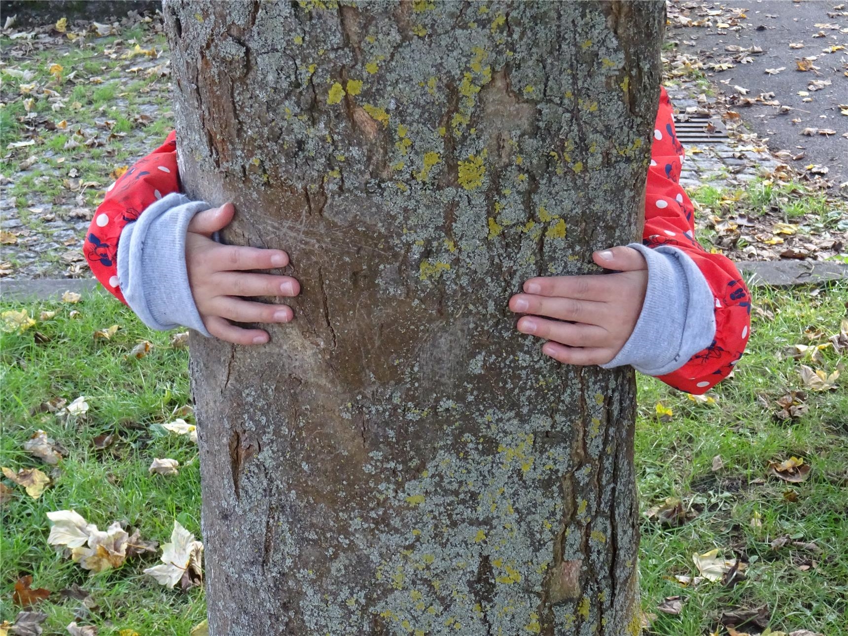 zwei Kinderarme umarmen einen Baumstamm (Kinderstiftung Ulm/Donau-Iller)