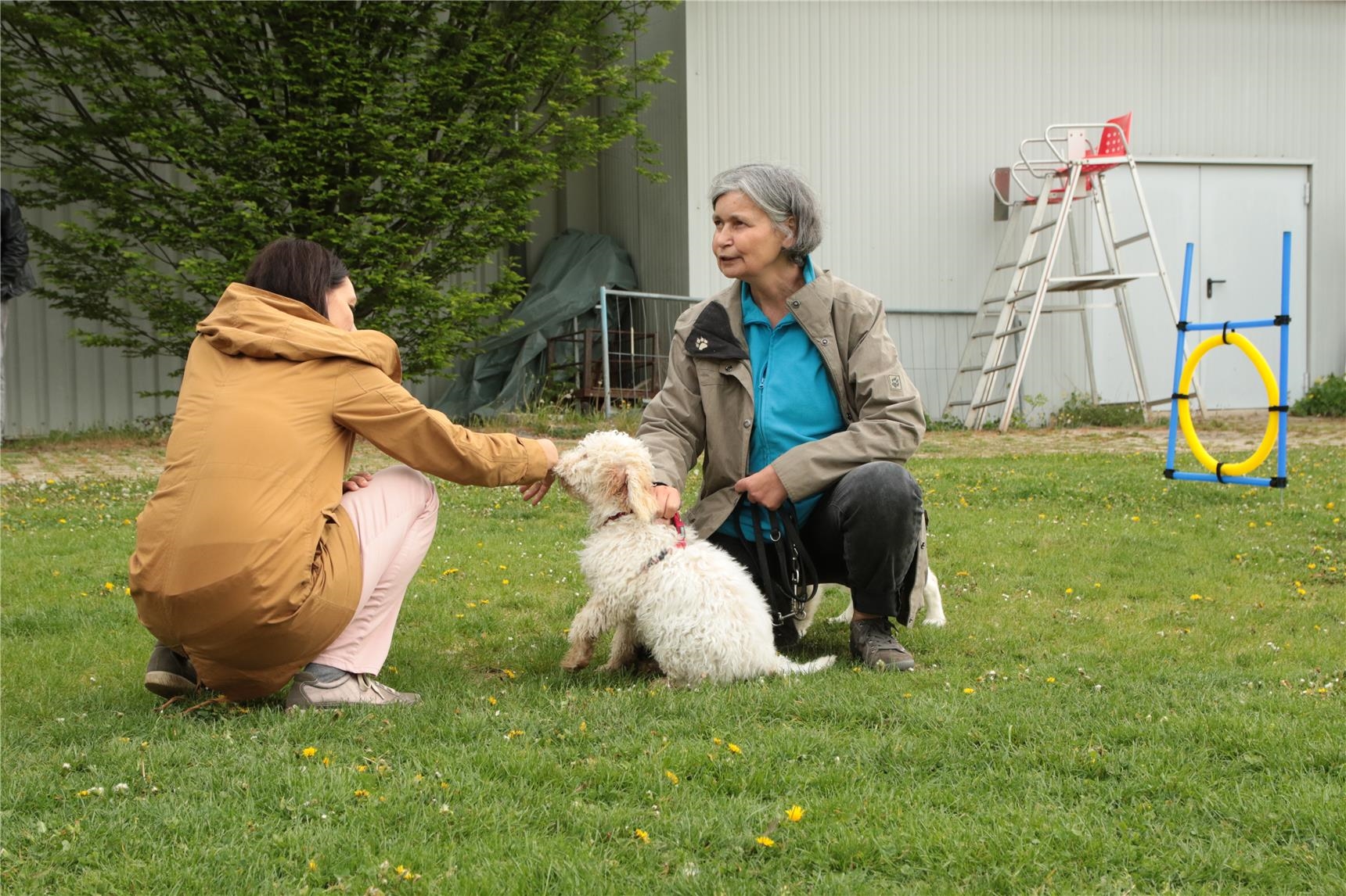 Hund und zwei Menschen (Caritas Stiftung Stuttgart)