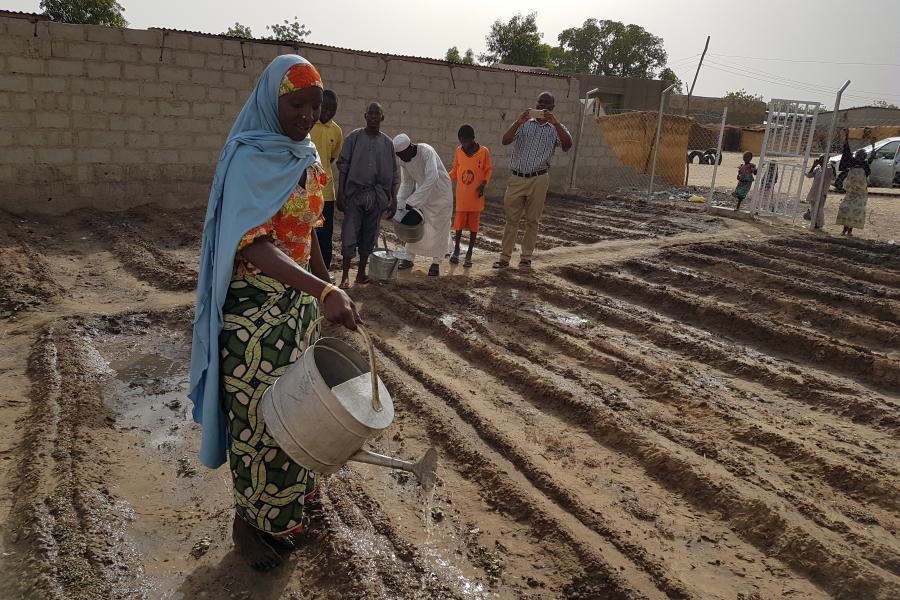 Nigeria: Gemüsegärten für Vertriebene in Maiduguri (Gernot Ritthaler)