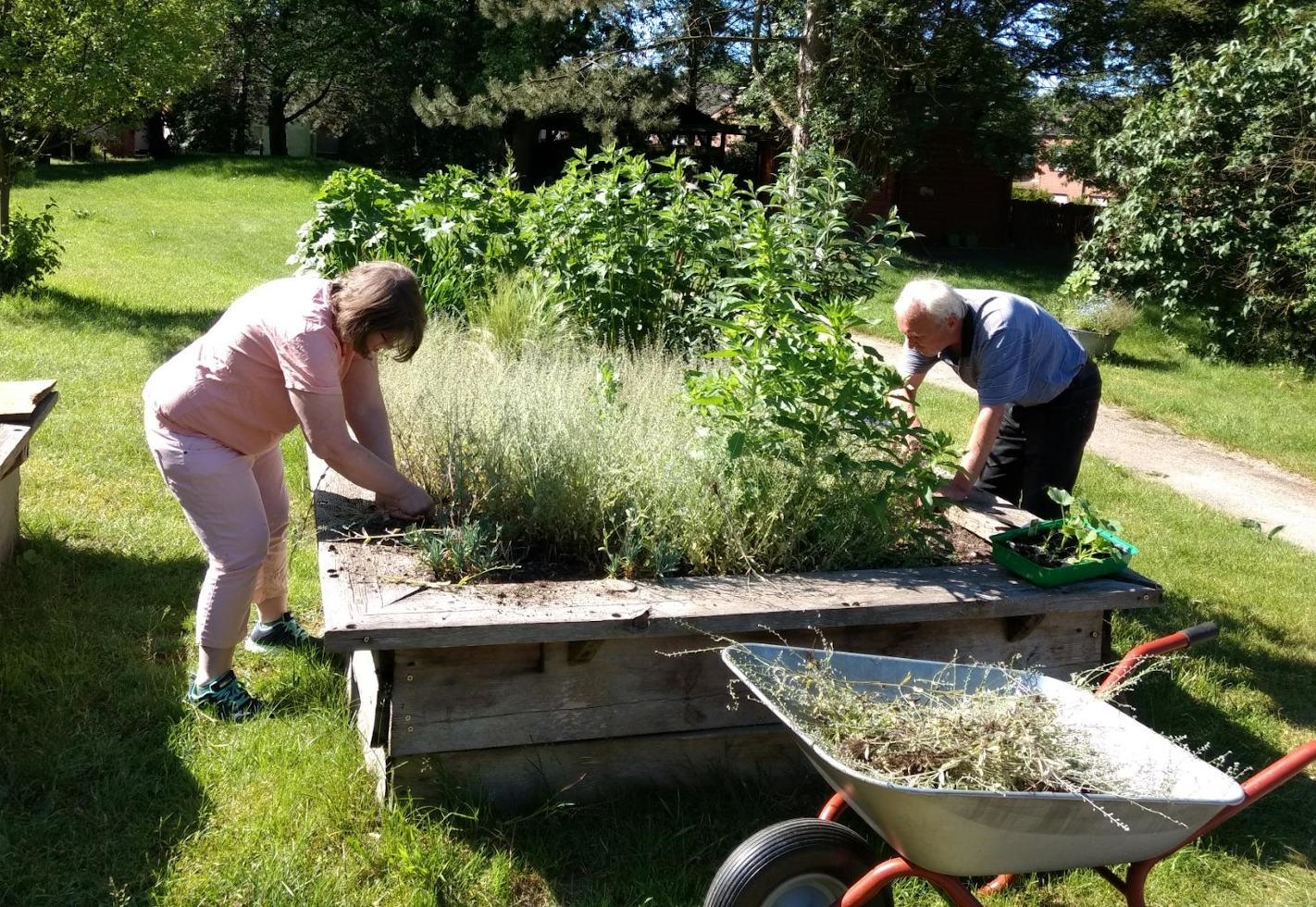 Zwei Klienten arbeiten an einem Hochbeet im Garten des Franzikushauses. 