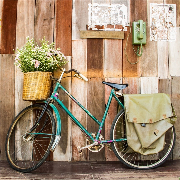 Fahrrad mit Blumen dekoriert
