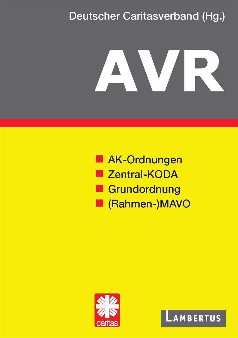 Umschlag AVR-Buch