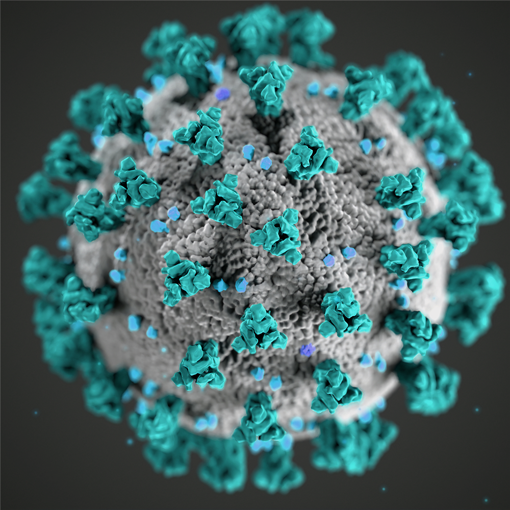 Coronavirus Nahaufnahme quadratisch