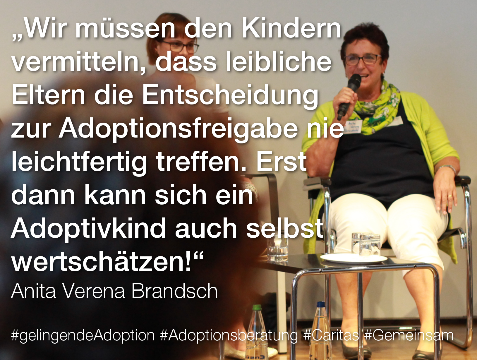 Podiumsgespräch Adoption_Brandsch