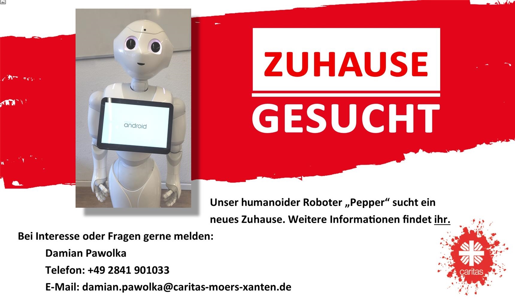 Teaser Pepper neues Zuhause