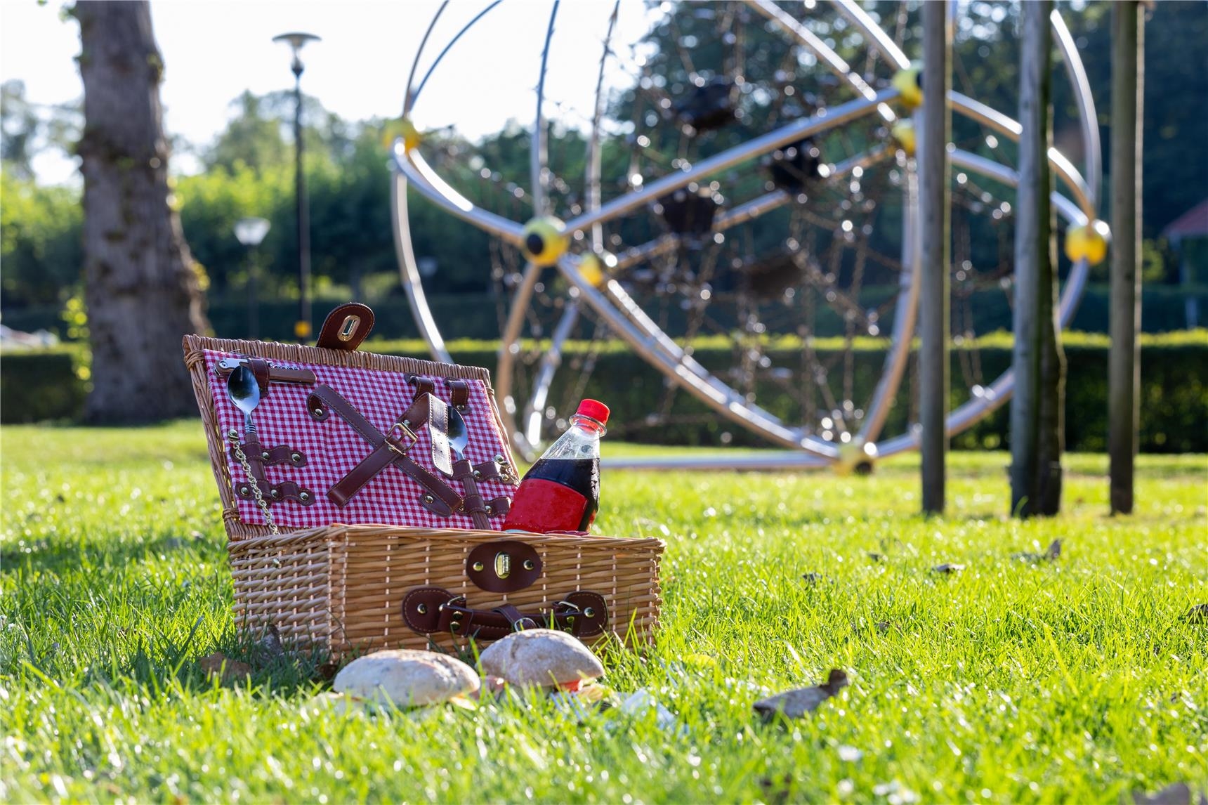 Ein Picknickkorb steht auf einer Wiese 