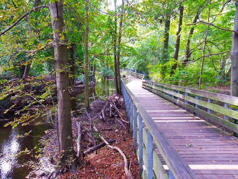 Waldspaziergang über die Holzbrücke im schönen Fließtal 